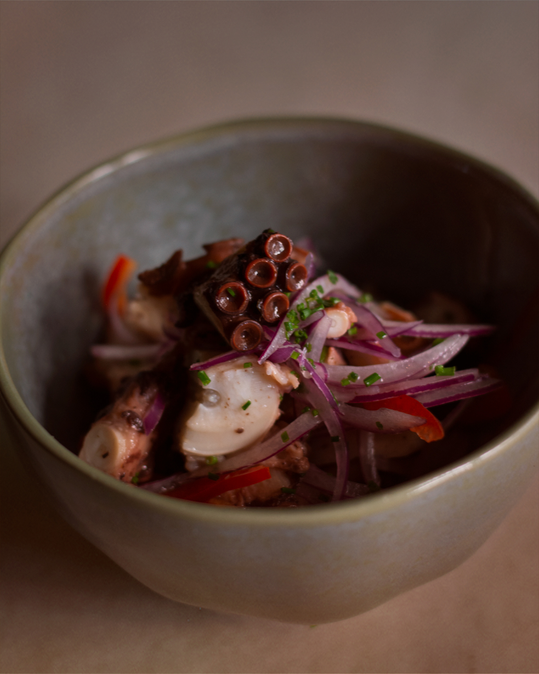 12.1 - Ceviche de polvo