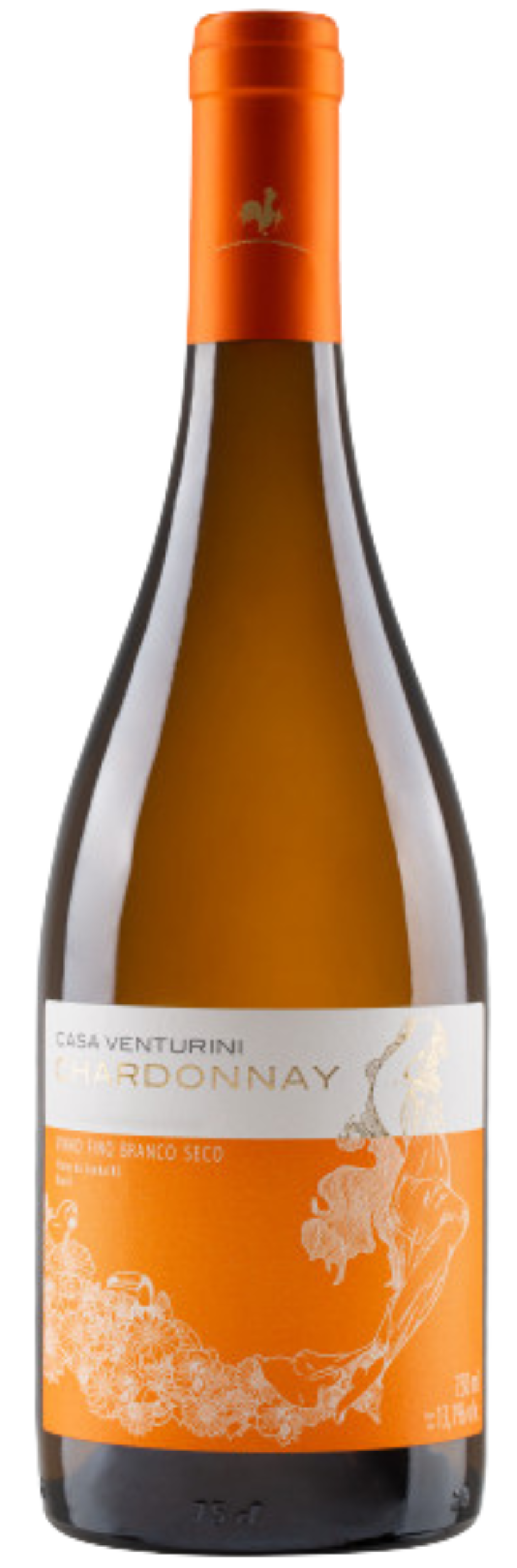 RECORTE (10) RECORTE (10)