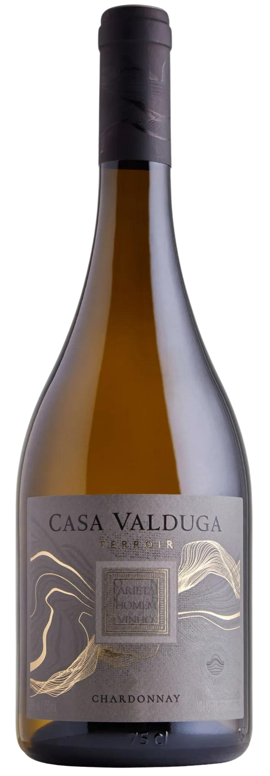 RECORTE (14) RECORTE (14)