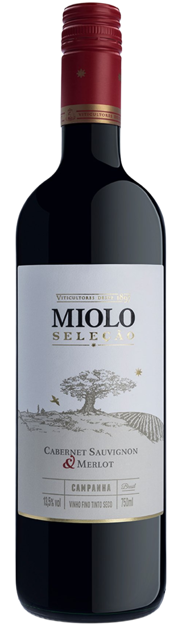 RECORTE (17) RECORTE (17)