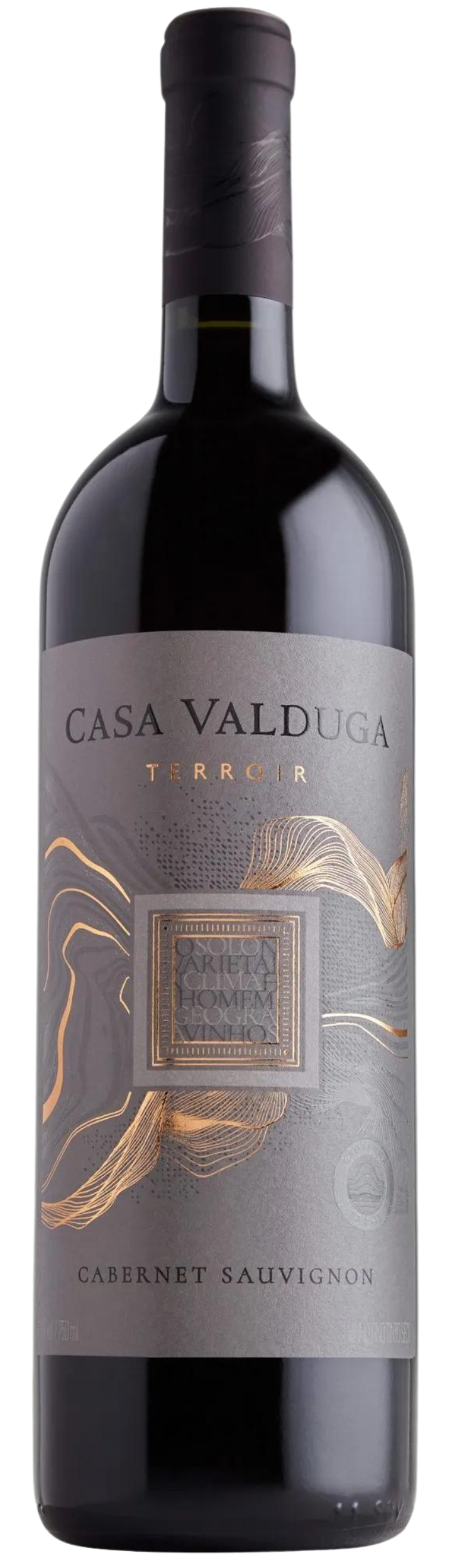 RECORTE (19) RECORTE (19)