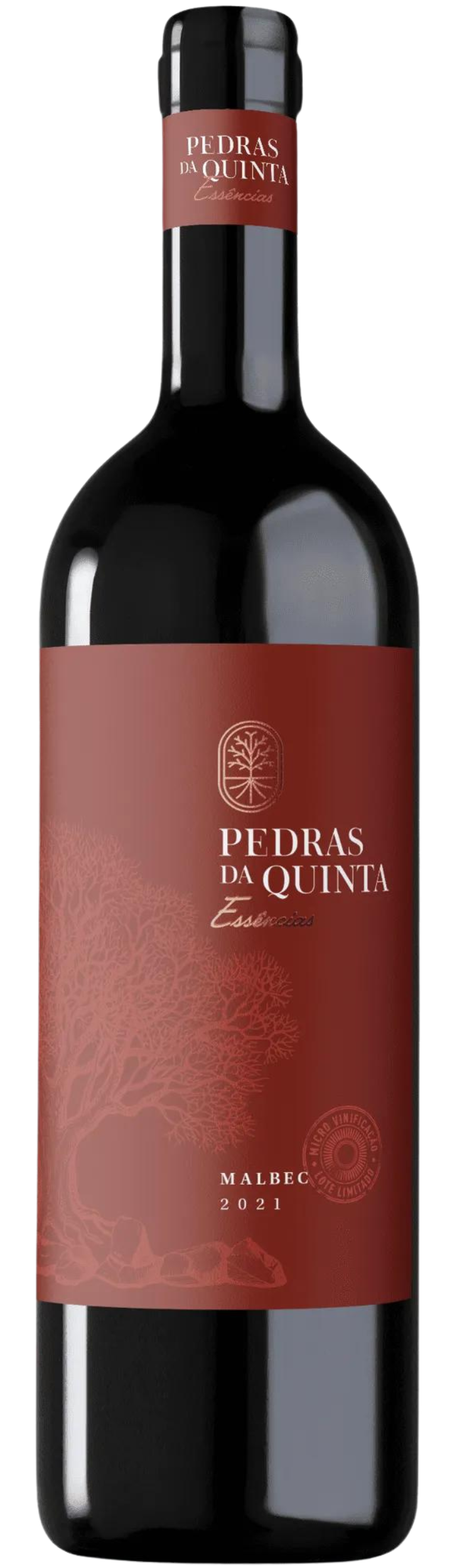 RECORTE (22) RECORTE (22)