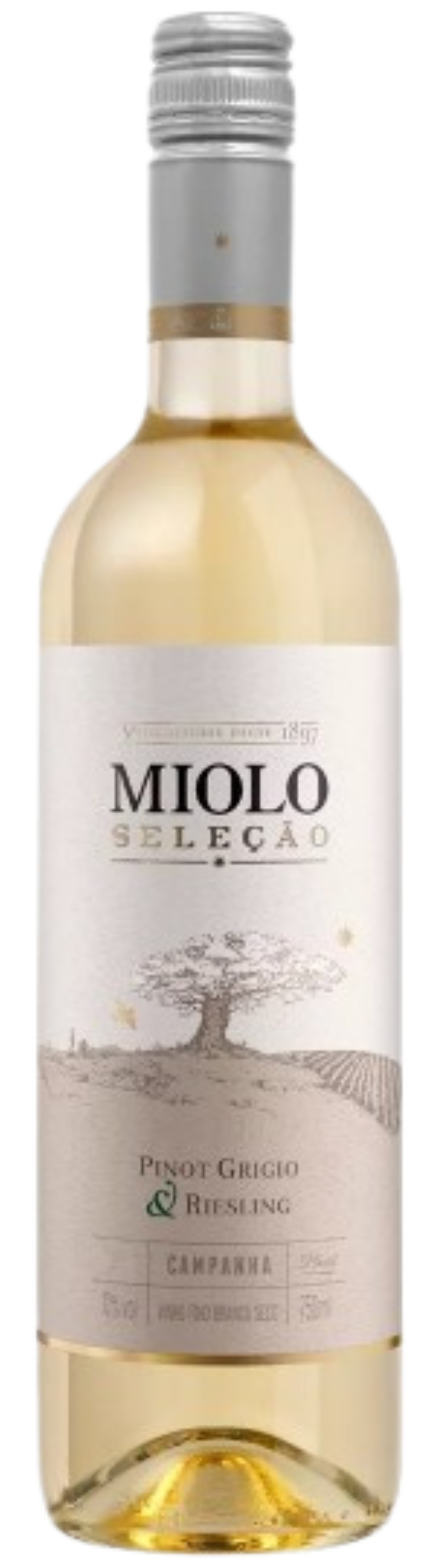 RECORTE (7) RECORTE (7)